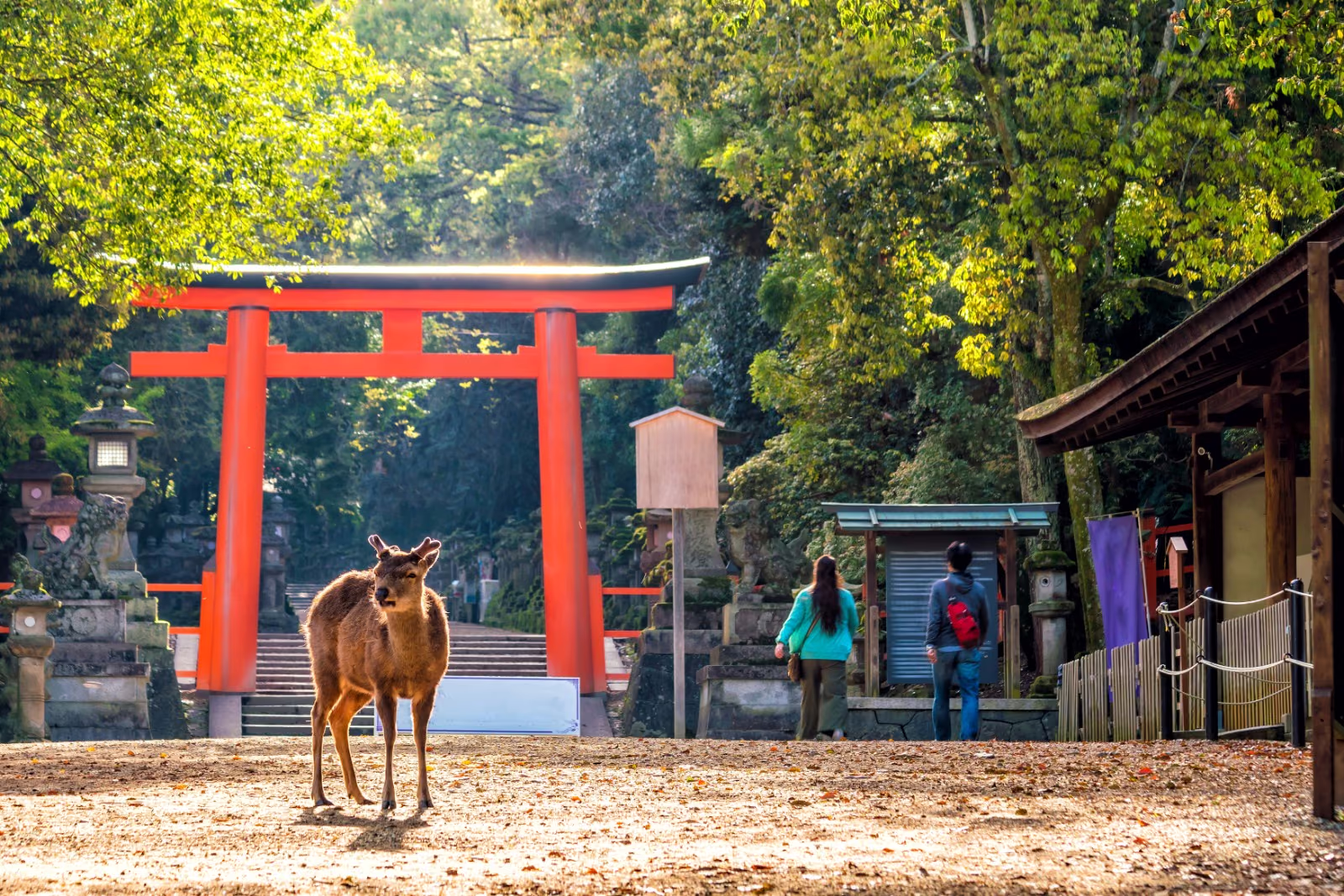 Nara e Osaka